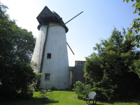 Holiday home in the Flemish Ardennes between the meadows